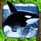 Dive into the arctic ocean and live life as an Orca