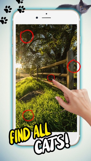 找照片上的貓(圖2)-速報App