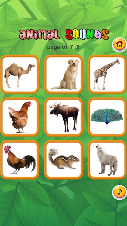 Animal Sounds : Flashcards