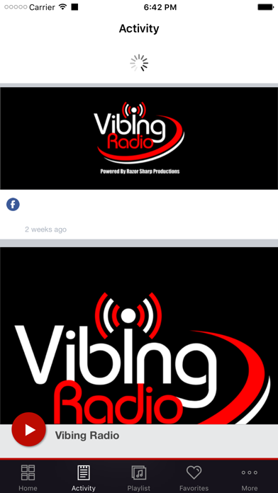 Vibing Radio screenshot 2