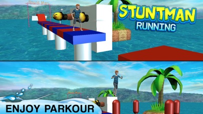 Legendary Stuntman Run 3D Pro screenshot 1