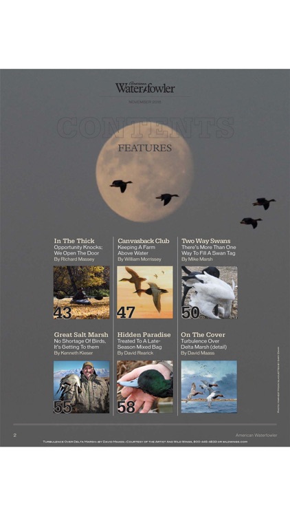 American Waterfowler
