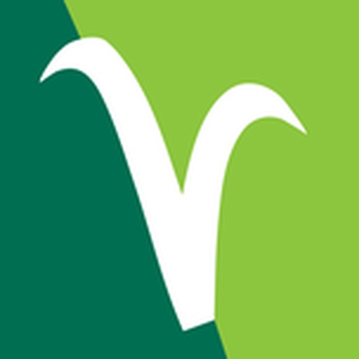 Vegetarian and vegan recipes