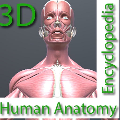 Human Anatomy Encyclopedia 3D