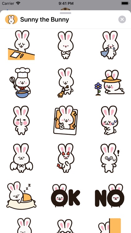 Sunny the Bunny