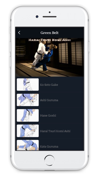 Judo Training GoKyo