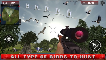 Birds Hunting - Clay Hunt Pro screenshot 4