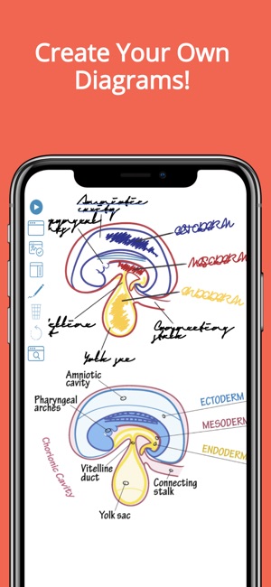 Draw it to Know it(圖3)-速報App