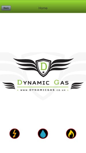 Dynamic Gas