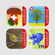 SUNBIRD Naturführer Box Schweiz - Pilze, Vögel, Blumen + Bäume richtig bestimmen