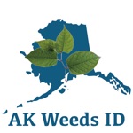 Alaska Invasives ID