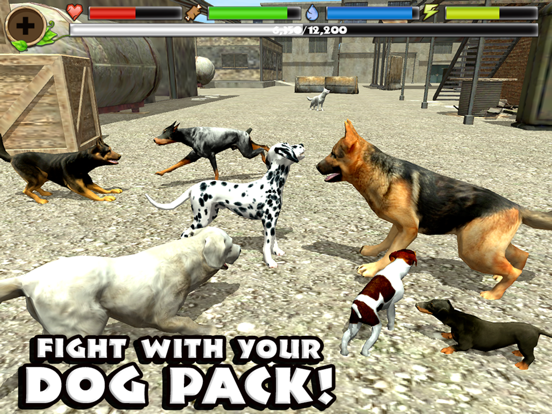 Stray Dog Simulator - App voor iPhone, iPad en iPod touch - AppWereld