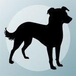 Dog Breeds Quizzes