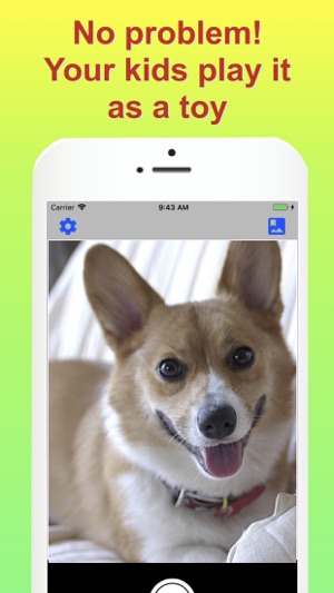 No save photo camera app(圖2)-速報App