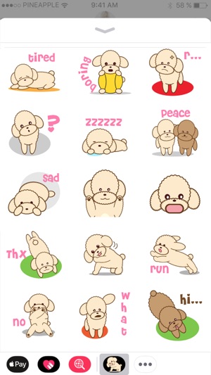 Apple the poodle(圖5)-速報App