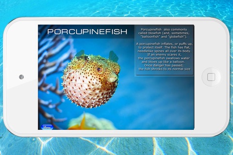 Ocean: encyclopedia of the sea animals screenshot 2