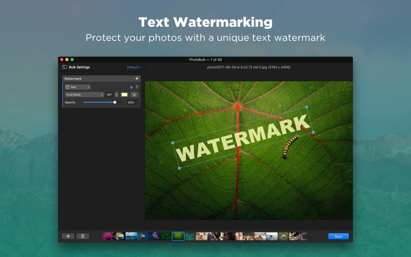 Watermark