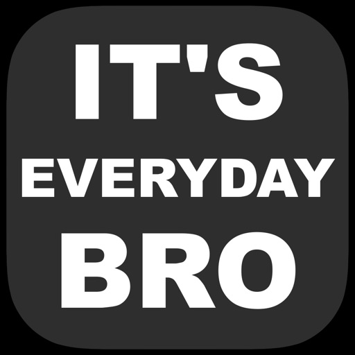 It's Everyday Bro - Daily Vlogs icon