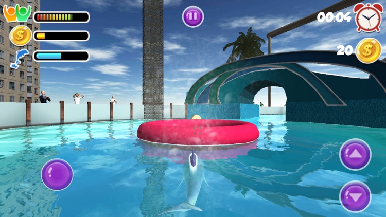 Dolphin show dolphin games 3D screenshot-4