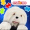 This app contains 10 jigsaw puzzles of your favourite Studio 100 character Samson