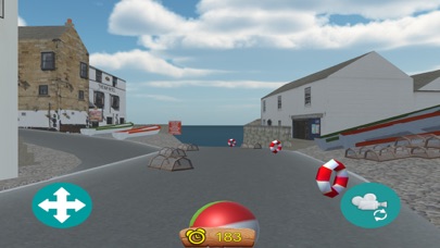 Robin Hoods Bay Beach Ball screenshot 2