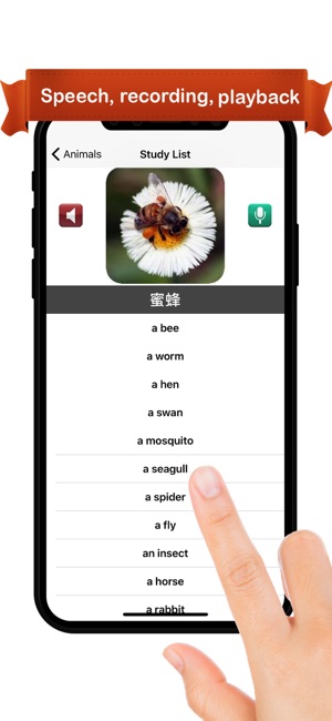 Learn Mandarin ®(圖2)-速報App