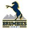 Welcome to the Brumbies app for 2017