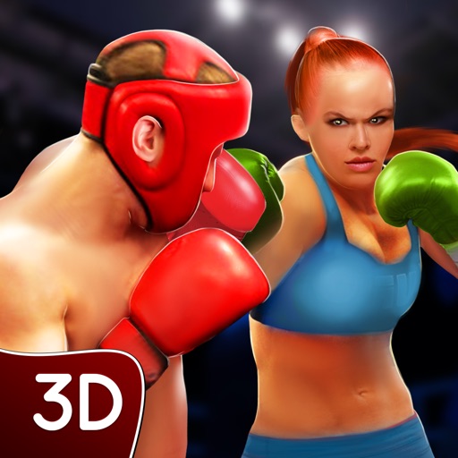 Ninja Boxer Punch Fighting 3D Icon