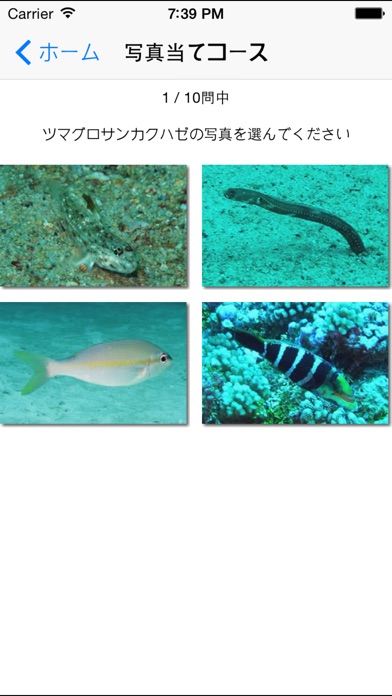 南国魚ガイド(1500種類の魚図鑑) screenshot1