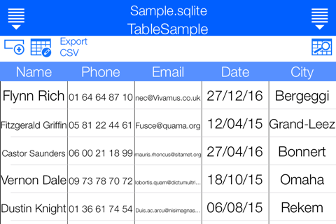 Ultimate Database - náhled