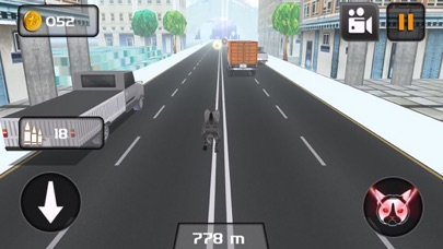 KITTY CAT RUSH 3D GAME 1.1 IOS