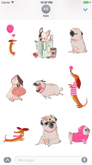 Pug French bulldog & Dachshund