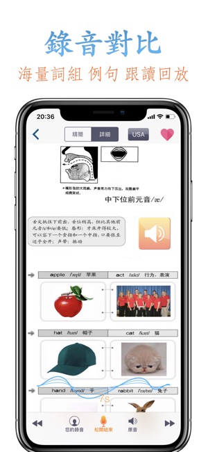 英語音標(圖2)-速報App