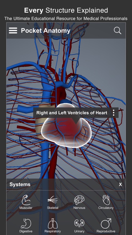Pocket Anatomy Pro