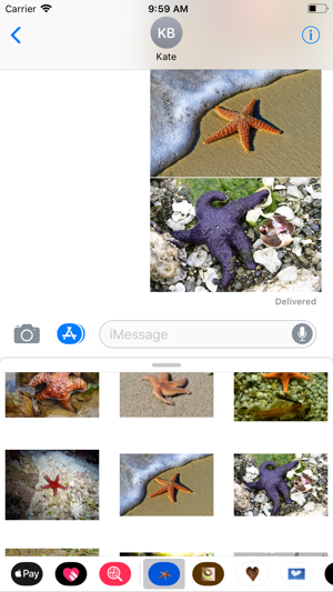 Starfish Sticker Pack(圖9)-速報App