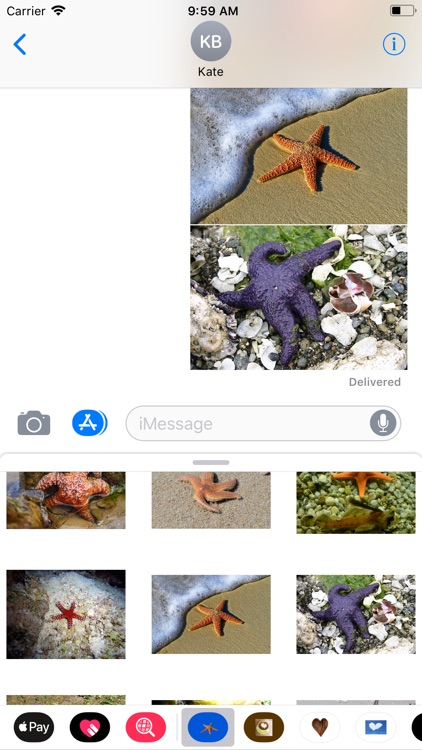 Starfish Sticker Pack screenshot-8