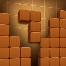 Activities of Wooden Block Puzzle - Extreme
