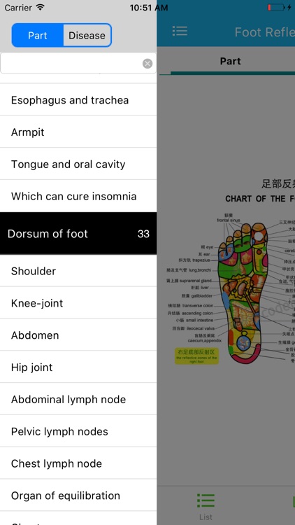 Foot Reflective Zones Handbook