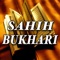 In short this is an english translation of  Sahih Bukhari Chapter:Adhaan(Call for Prayer)