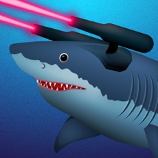 Activities of Cyber Shark