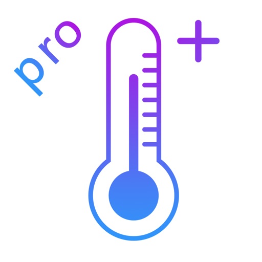 Real Thermometer  Pro