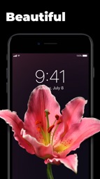 Live Wallpapers for Me Captura de tela 3