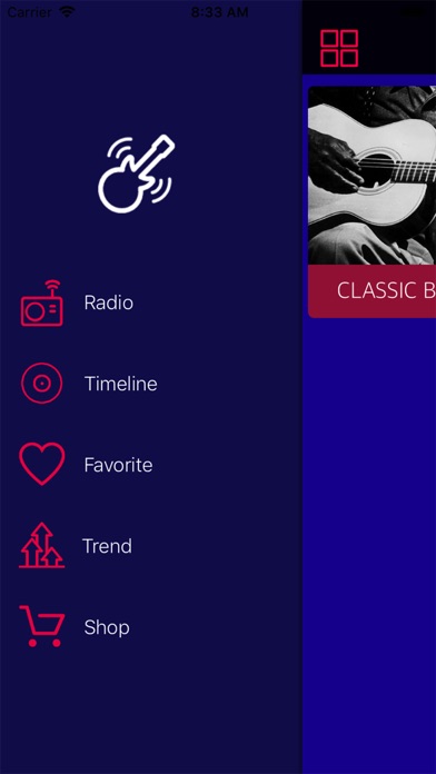 Radio BLUES screenshot 3