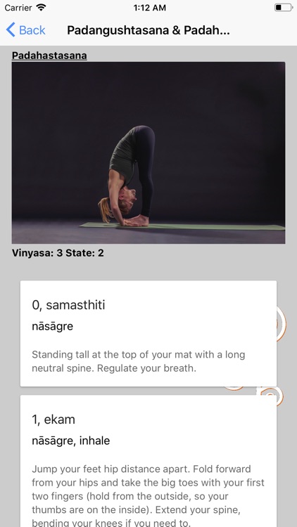 Ashtanga Yoga Primary Series screenshot-3