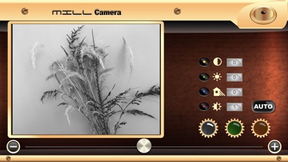 Retro Camera - black & white screenshot 2