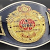 World Boxing Federation (WBF)