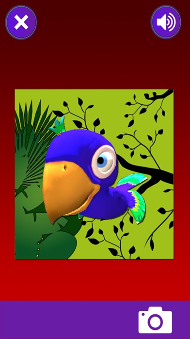 Merengue - Memotest la selva screenshot 3