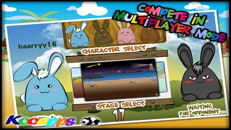 Rabbit Race