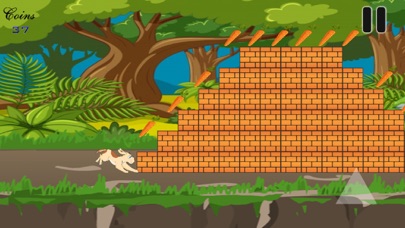 Bunny: Run Adventure screenshot 2