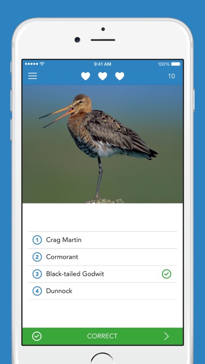 iKnow Birds 2 LITE screenshot-3